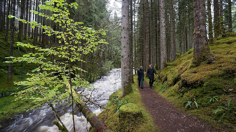 Мужчина и женщина переходят через речные пороги в лесу